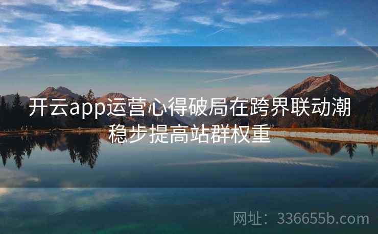 <strong>开云</strong>app运营心得破局在跨界联动潮稳步提高站群权重