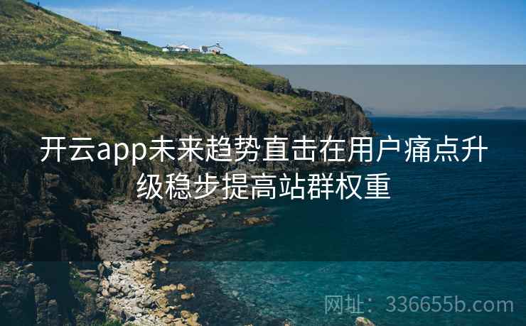 <strong>开云</strong>app未来趋势直击在用户痛点升级稳步提高站群权重